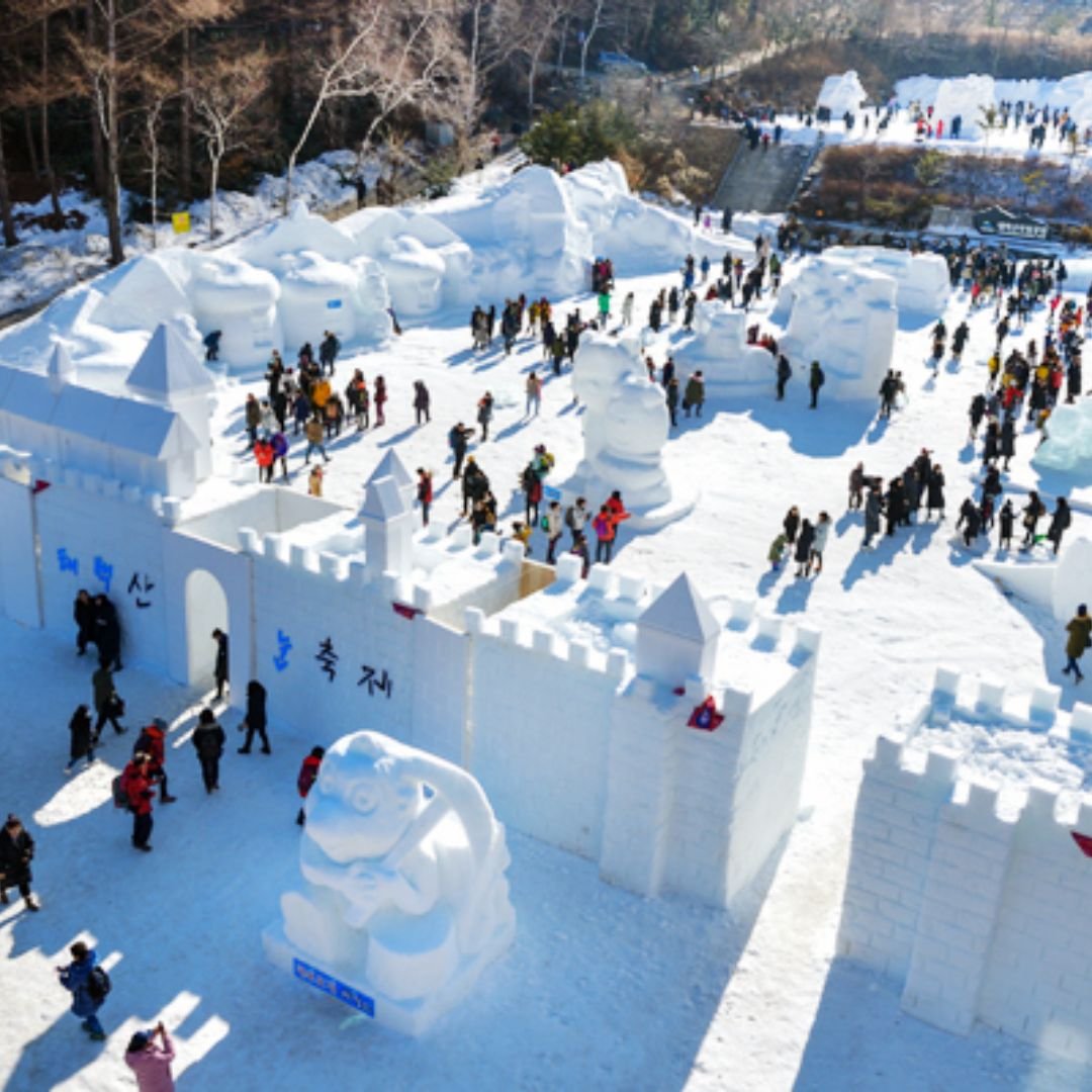 Korean Winter Wonderland